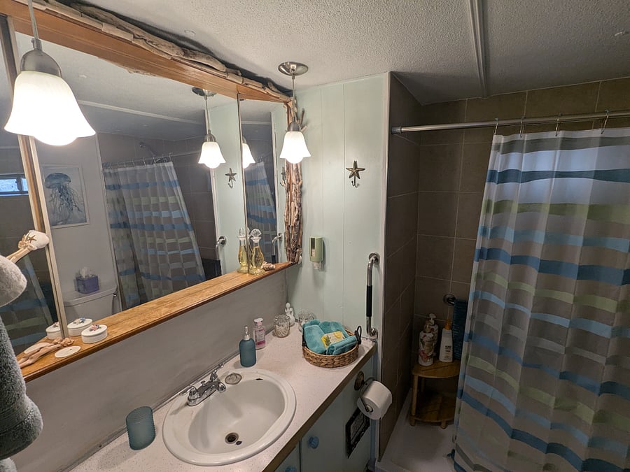 Stand up shower, no bathtub