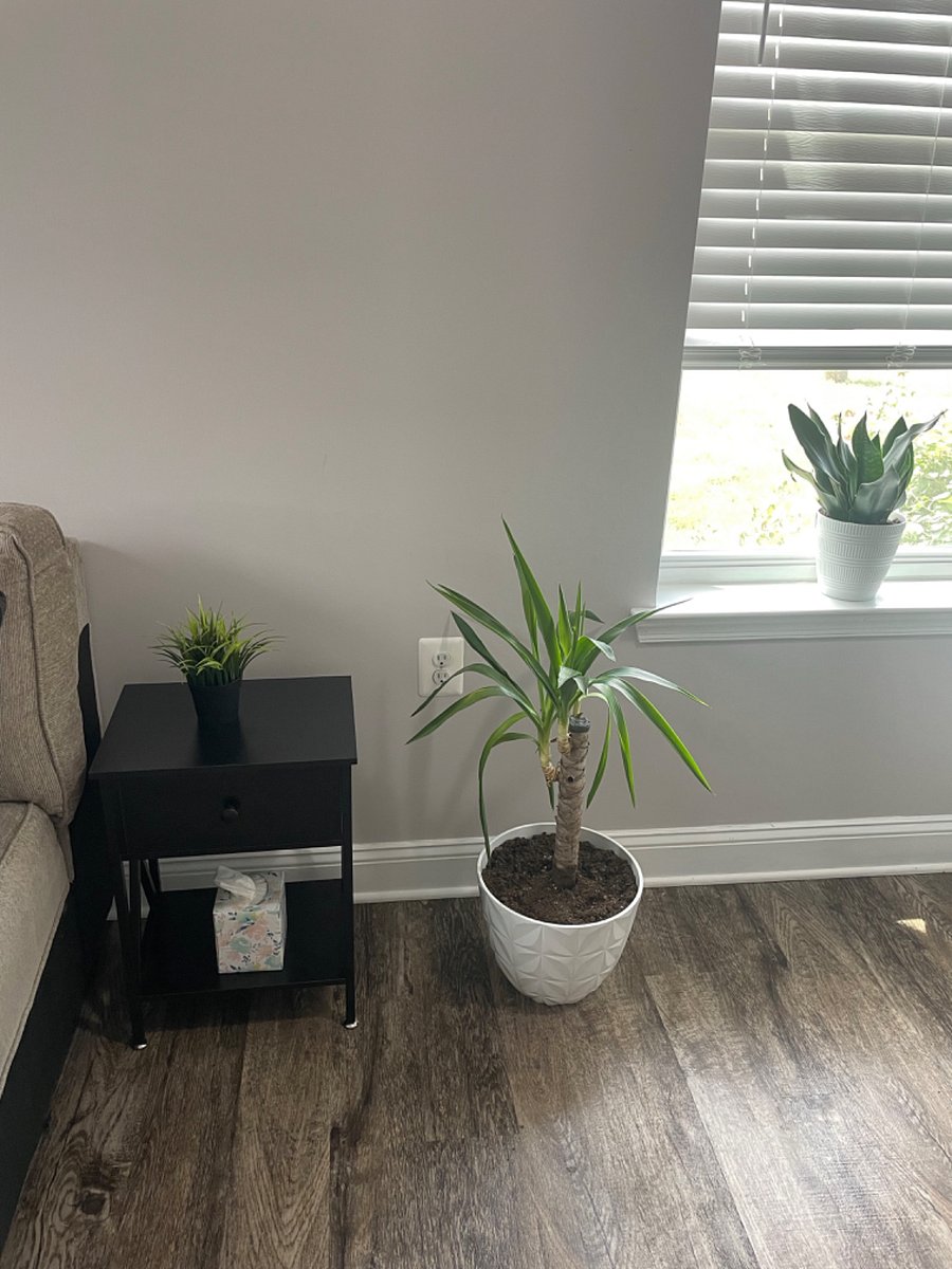 Furnished Finder property 640527_1 photo 13