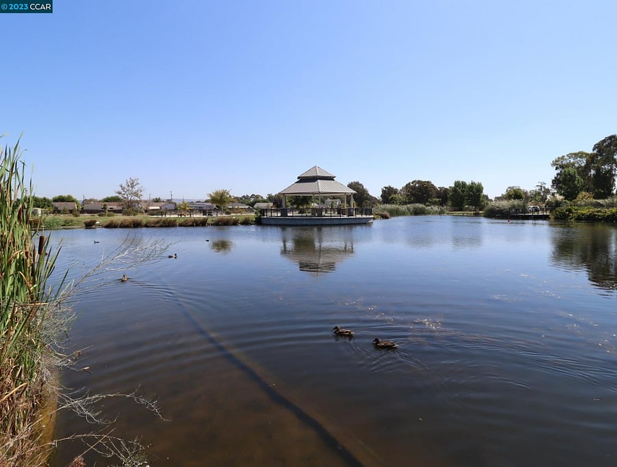 Park located behind property- peaceful duck pond