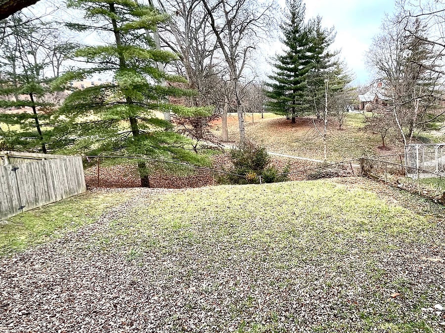 Backyard with view of park next door