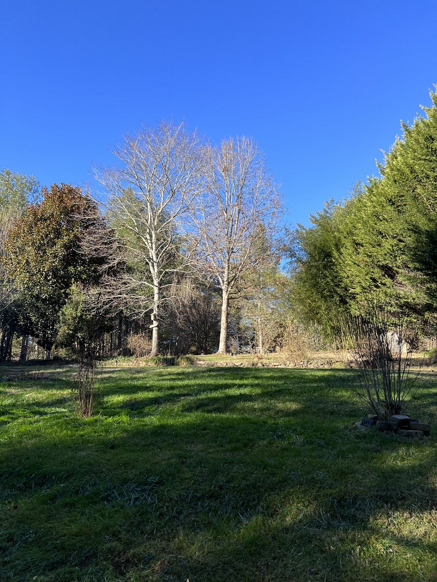 Large one acre yard with many sitting areas