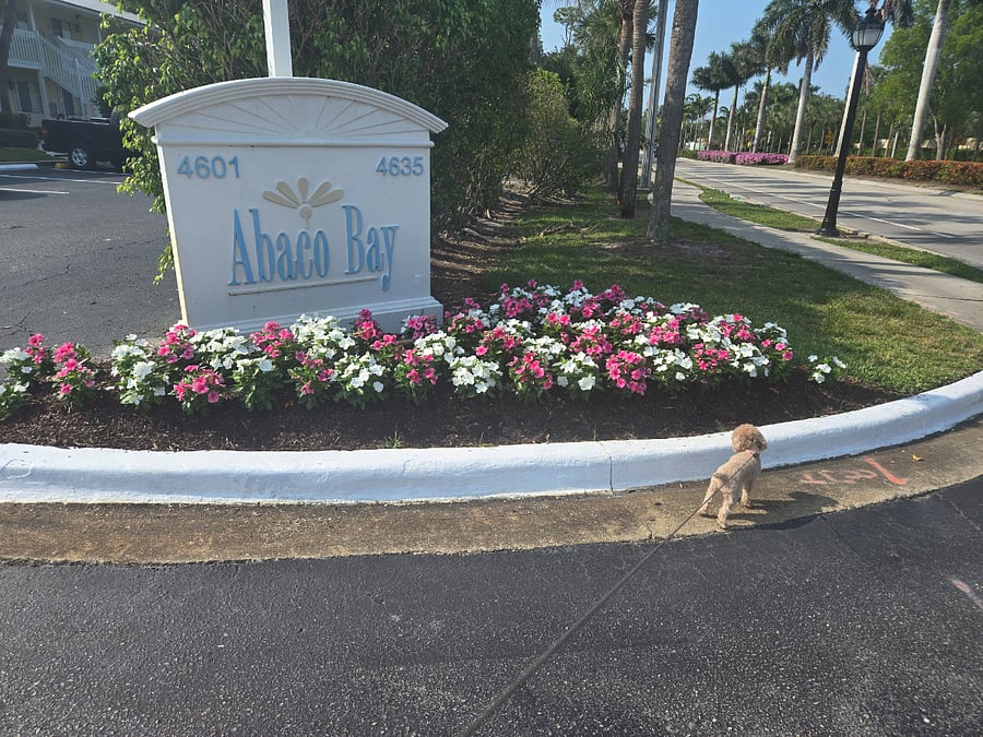 Furnished Finder property 641124_1 photo 15
