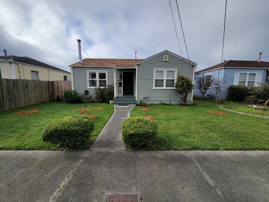 View from street. Has two small apple trees (not producing fruit yet) and five blueberry bushes (produce between early spring and late summer, please help yourselves!)