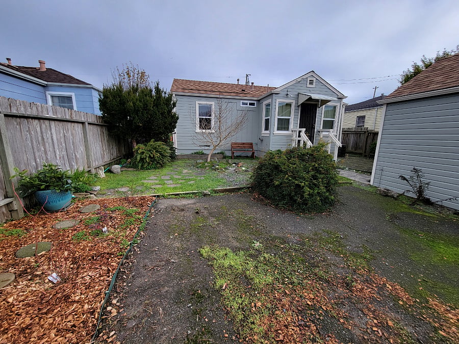 View from far corner of the back yard. New avocado tree (not producing fruit yet) and four blueberry bushes (produce between early spring and late summer, please help yourselves!)