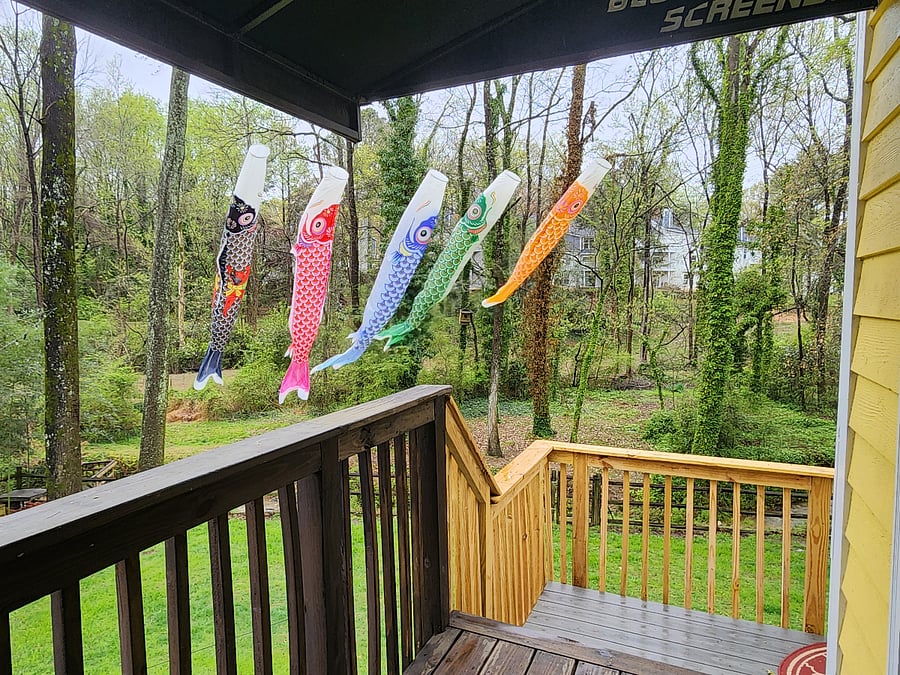 Furnished Finder property 641268_1 photo 19
