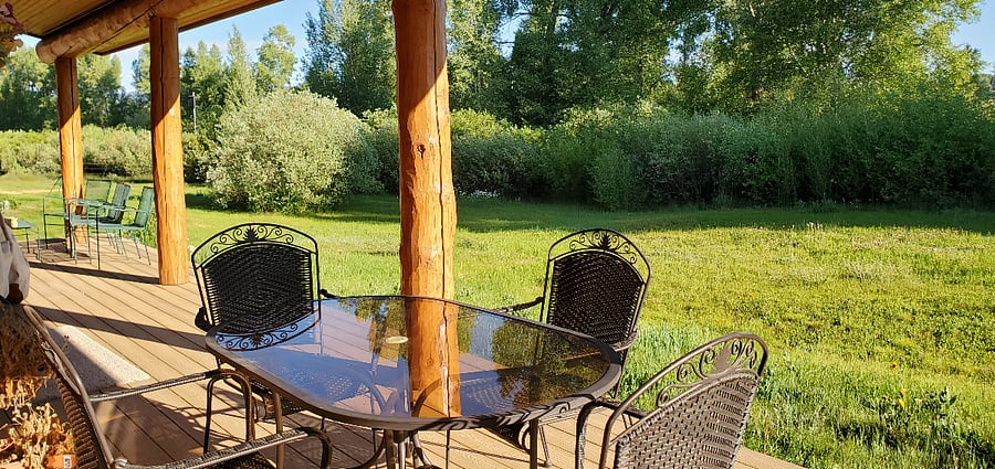 Backyard, river behind the willows
