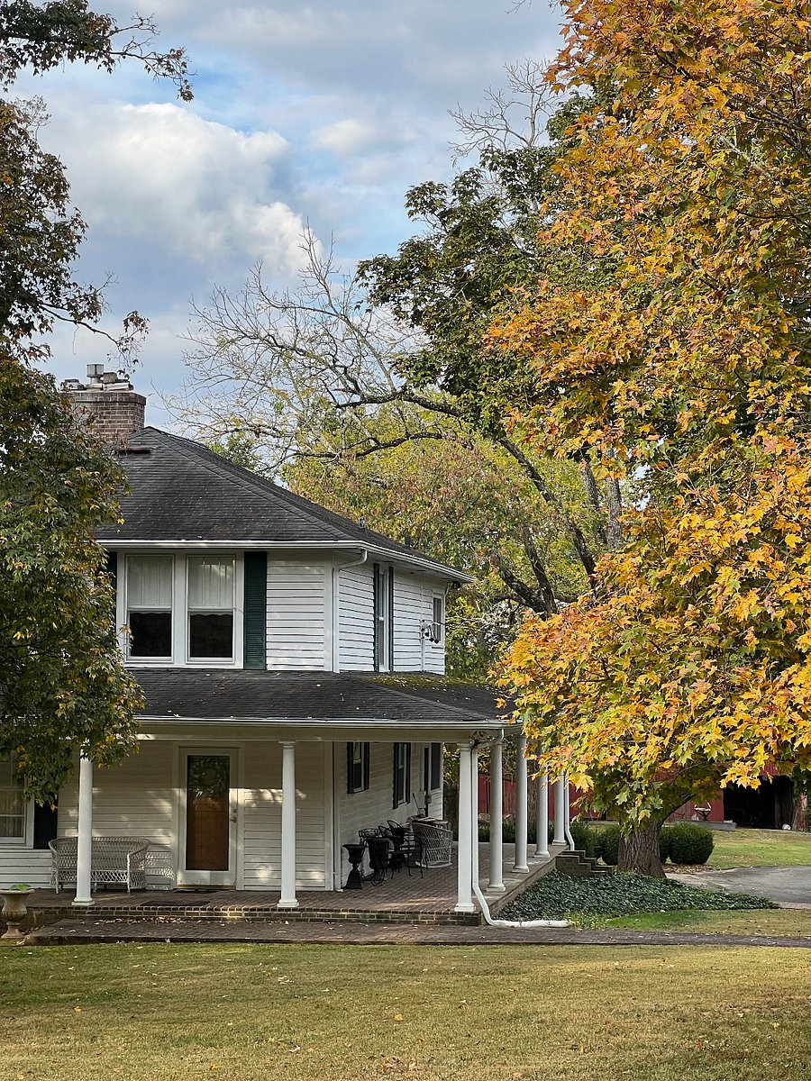 Fall color.