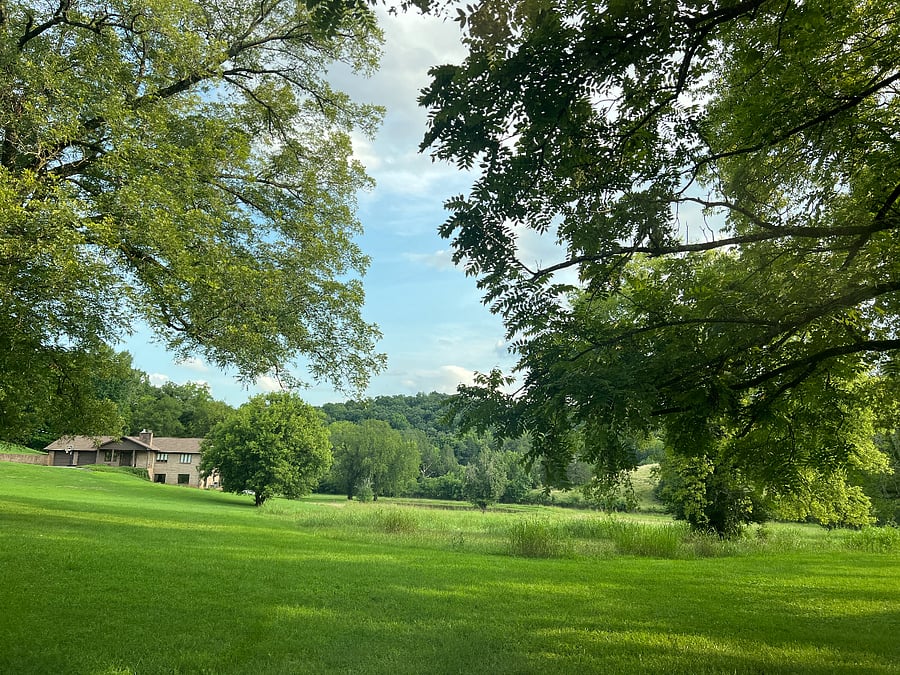 Another view from the house. 