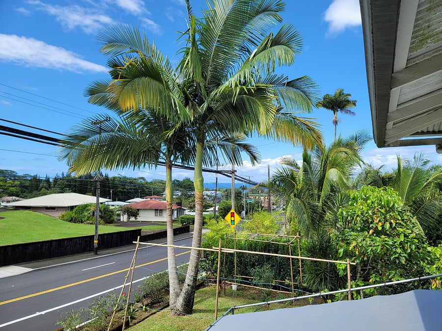 Furnished Finder property 641540_1 photo 10