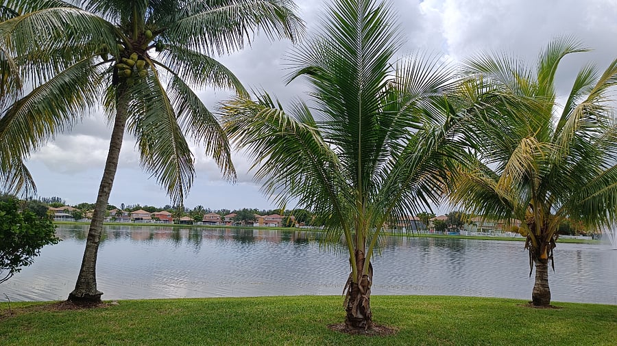 Furnished Finder property 641621_1 photo 10