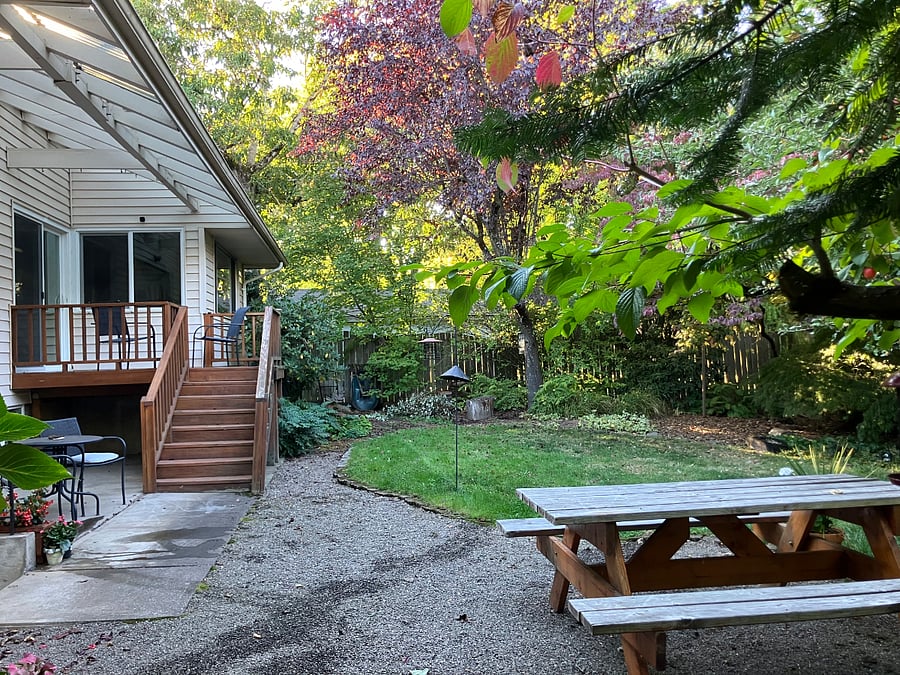 Lush (shared) back yard.