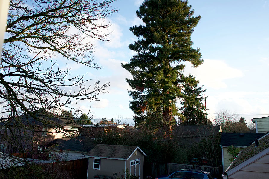View from window looking east.