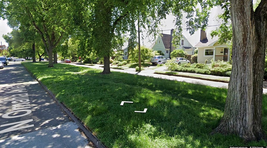Peaceful park-like setting in front of the house