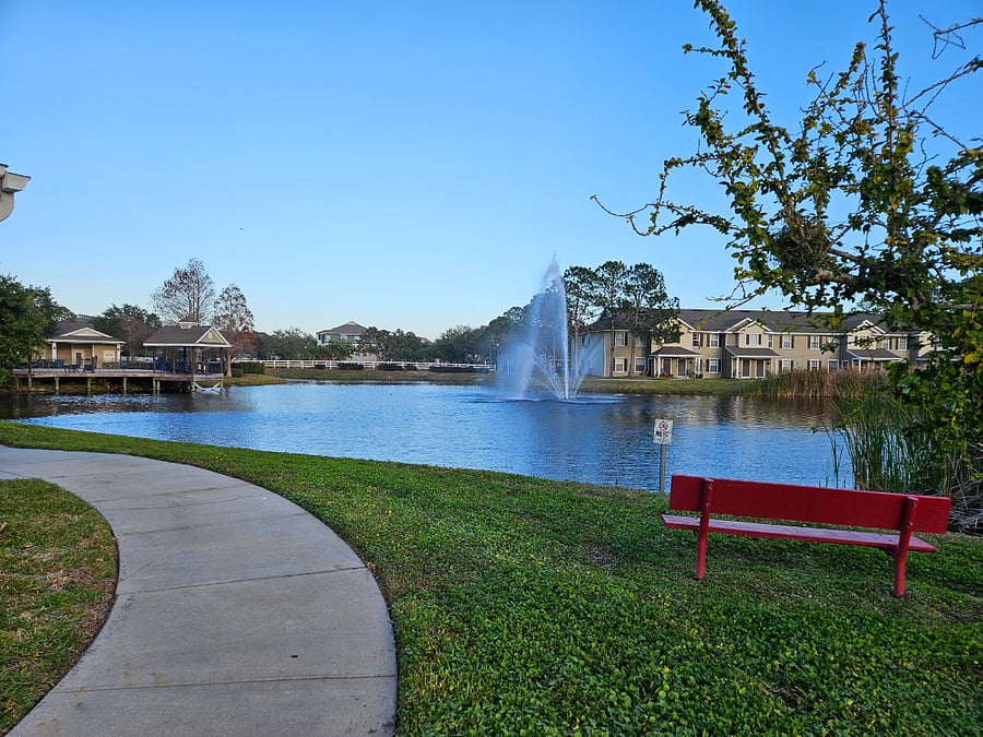 Pond View