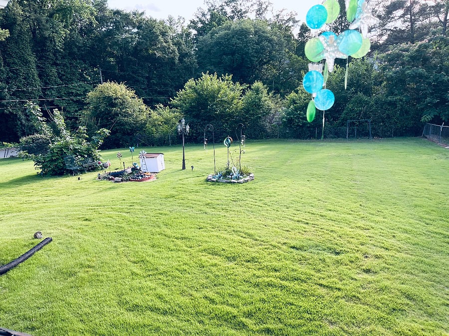 Your quiet back yard.