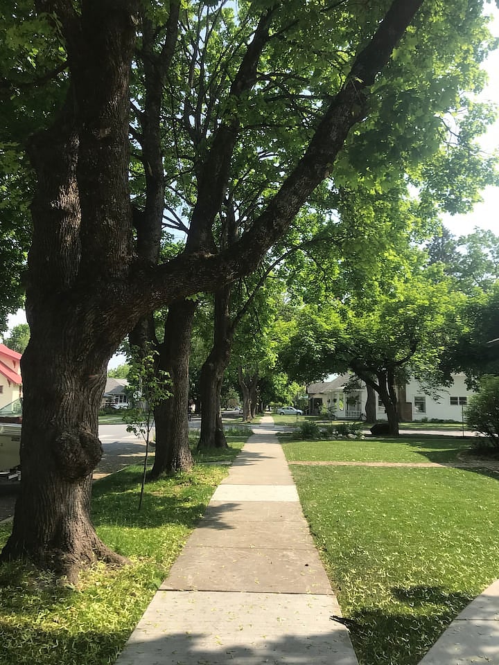 Our street and sidewalks in summer
