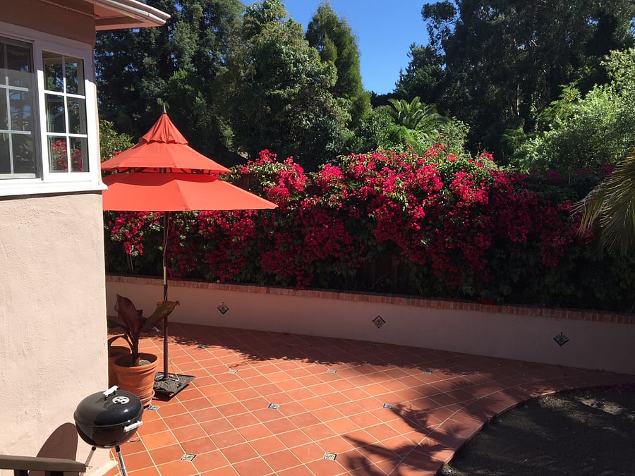 Patio & deck in a lush private Mediterranean garden