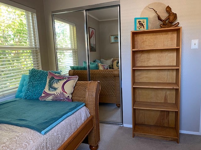 Shelves & Closet