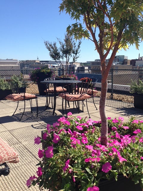 Roof Deck with grill and city views.