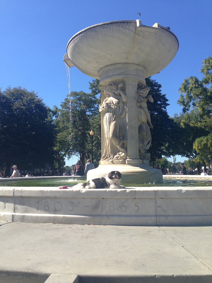 DuPont Circle - 1 block away!