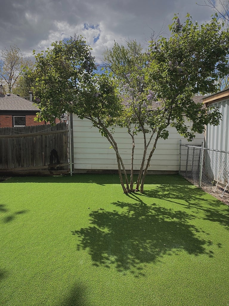 Fenced back yard.