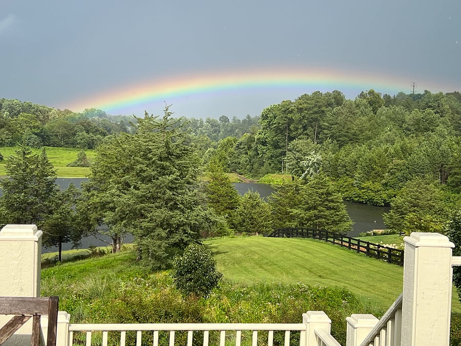 Back yard and pond