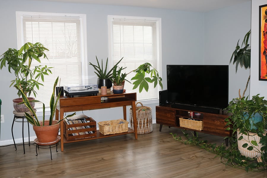 Furnished Finder property 642452_1 photo 15