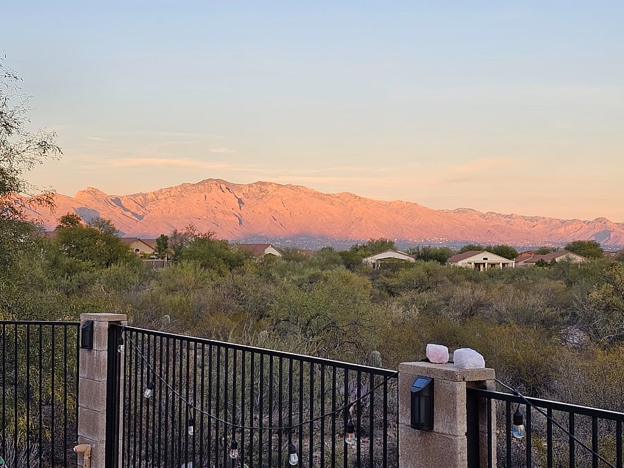 view from back patio