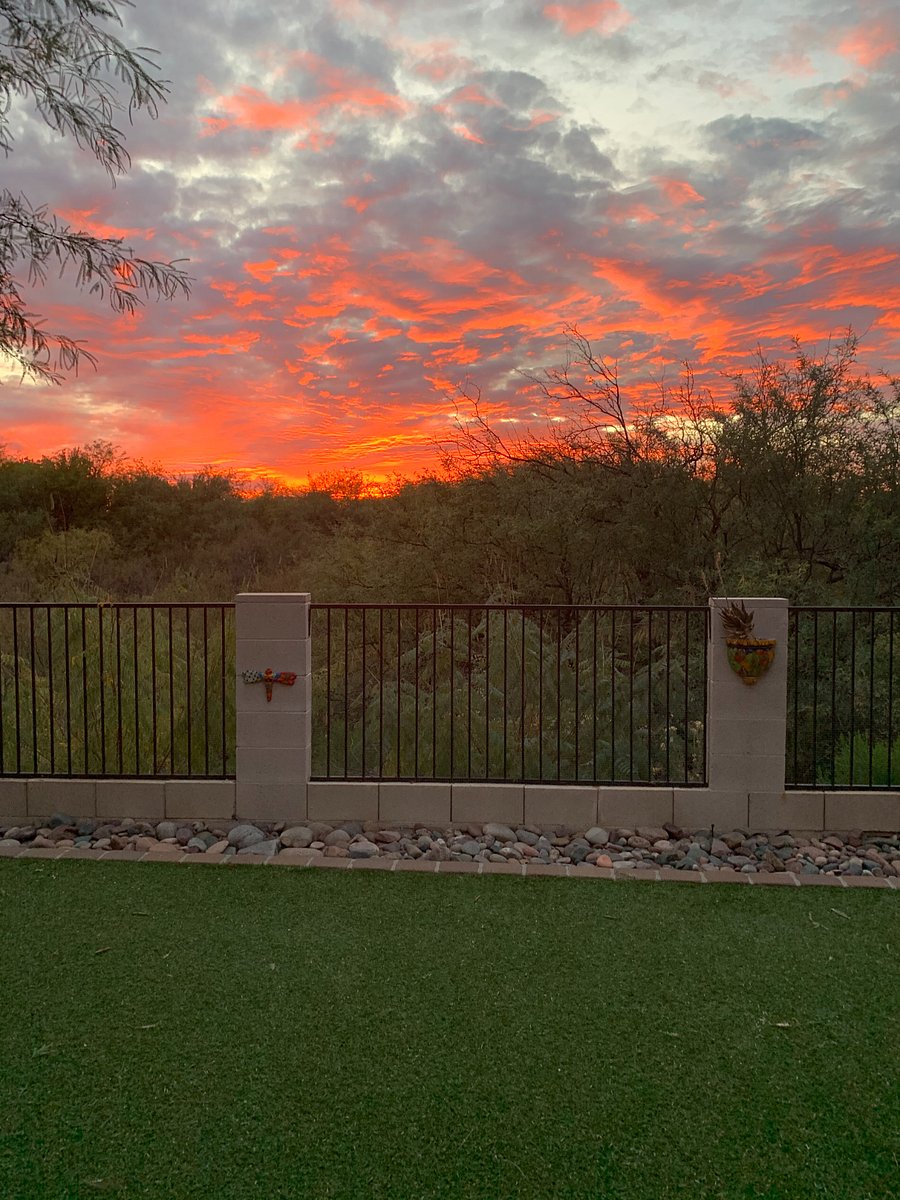 Lovely sunsets over the park