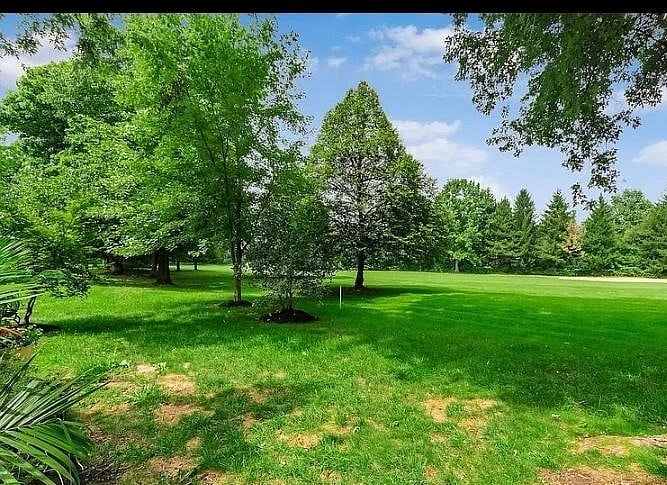 Furnished Finder property 642630_1 photo 11