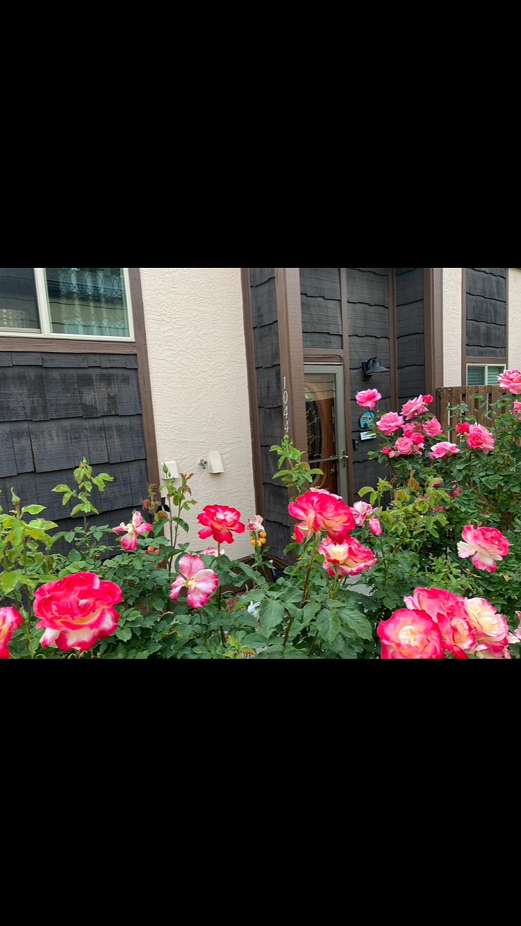 Furnished Finder property 643031_1 photo 3