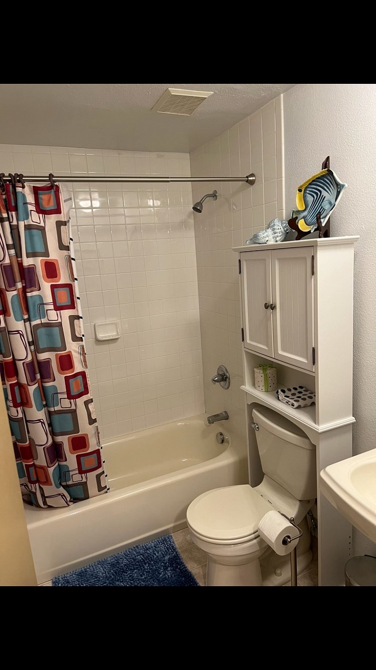 Lower level bathroom