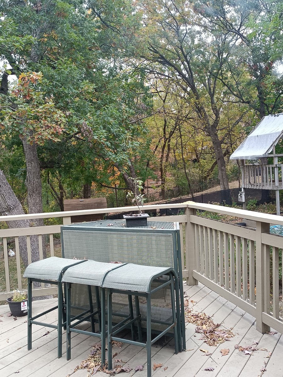 Furnished Finder property 643142_1 photo 16
