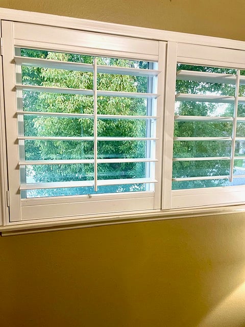 Mature Landscaping-The view out one of your rooms