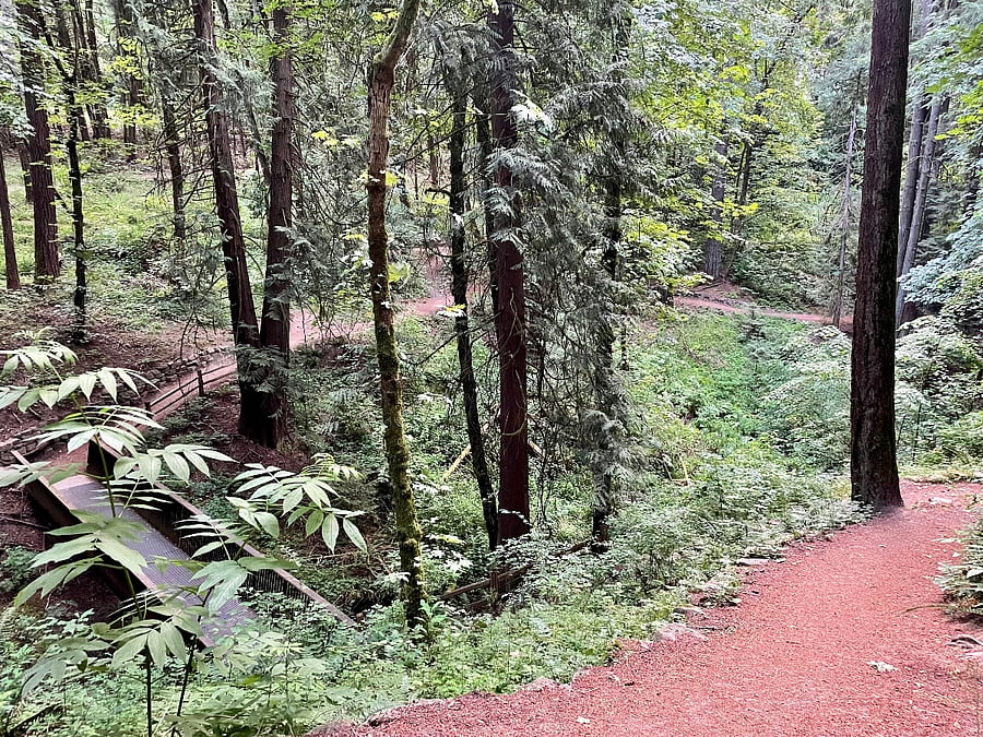 Access to Marshall Park natural area right outside the door!