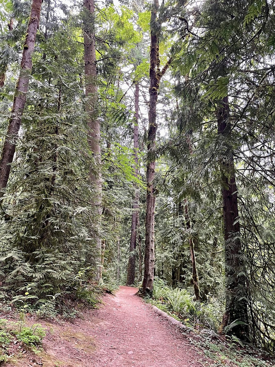 Access to Marshall Park natural area right outside the door!