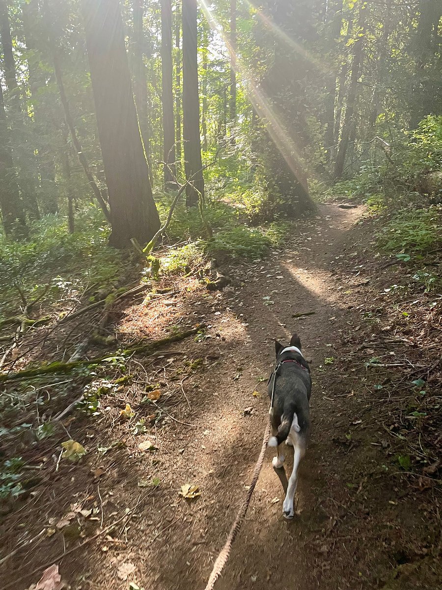 Access to Marshall Park natural area right outside the door!