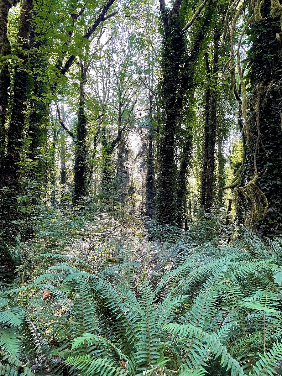 Access to Marshall Park natural area right outside the door!