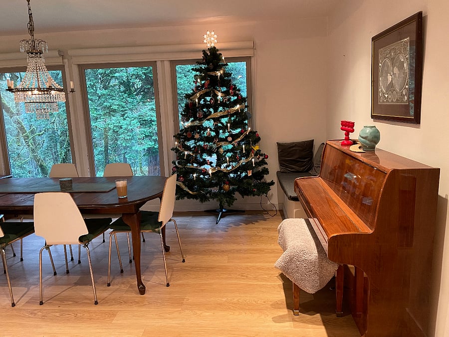 Living room and dining room area