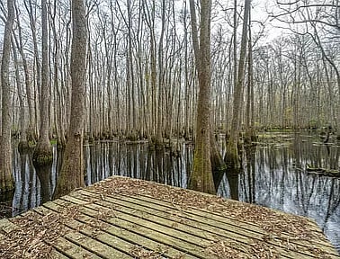 Private Dock