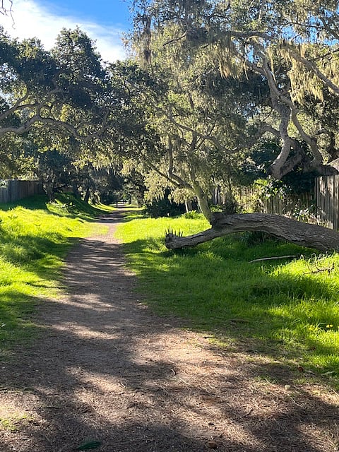 Walking path adjacent to property