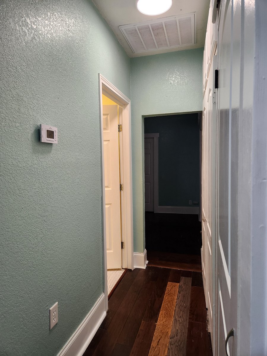 Hallway from front room to theater room. Bathroom door on left.