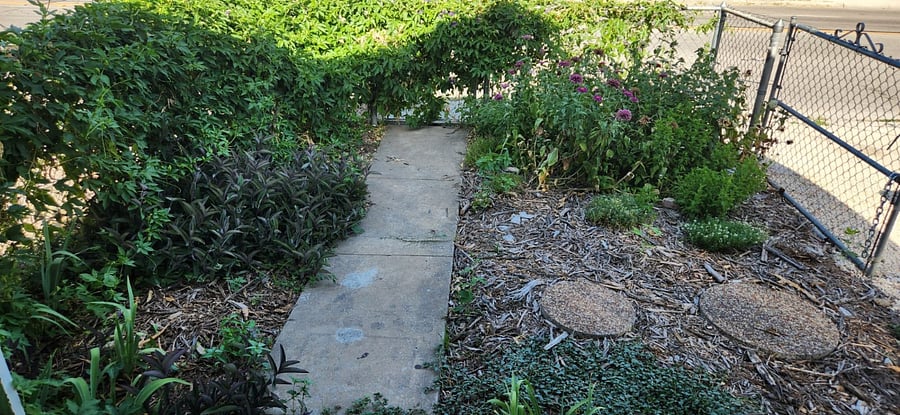 Front yard FULL of flowers and flowering passion vine. Butterflies all day long! Step stones from driveway to front walk. The gate opens even with the vines on it.
