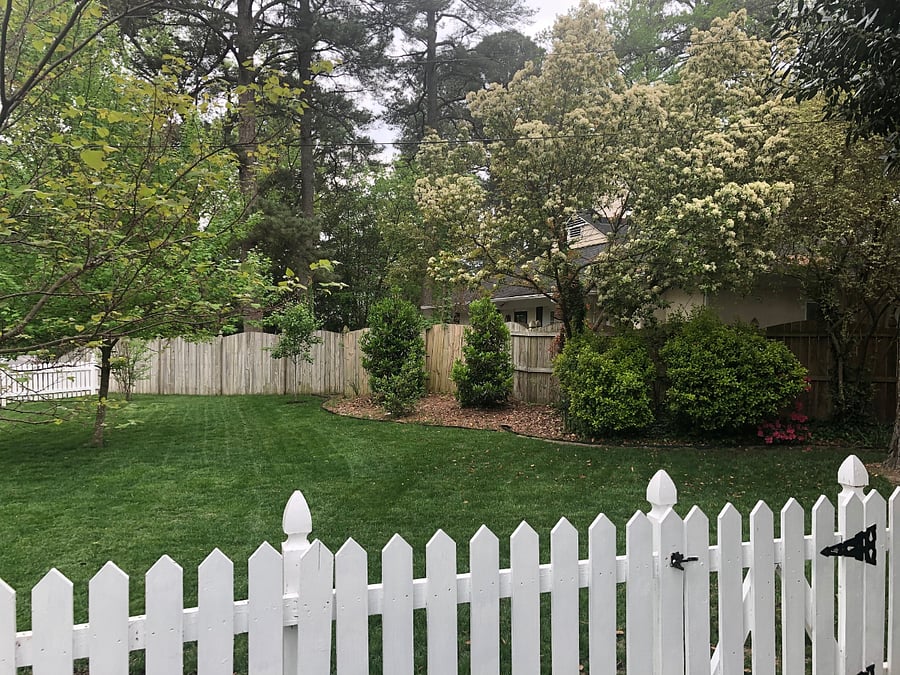 side yard. house on right side not shown