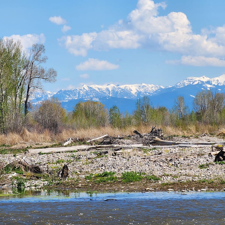 Gallatin River near house