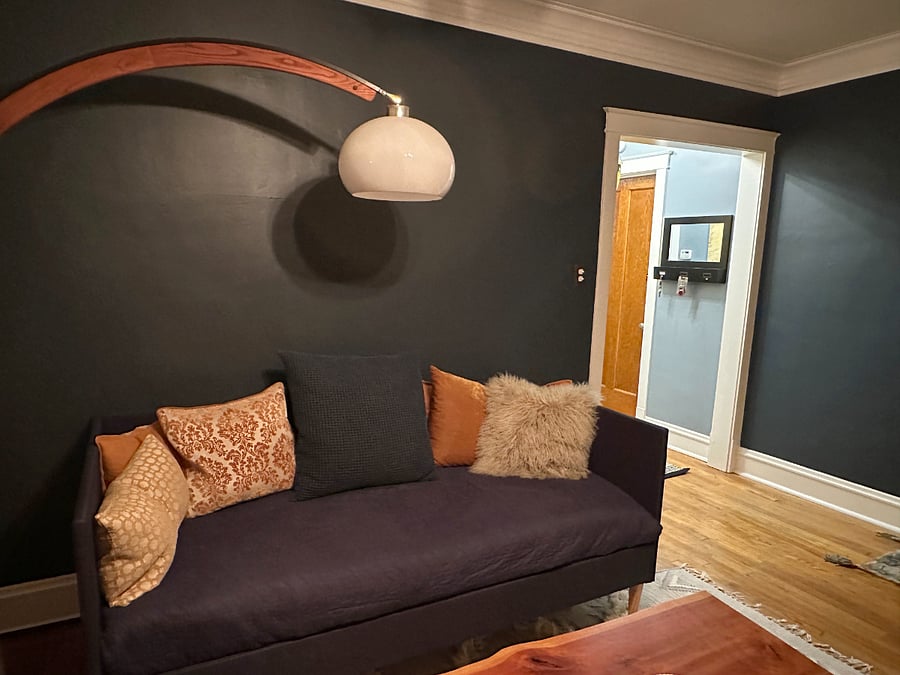 Cozy modern daybed couch in case you have a weekend guest on need a nice nap in the sunshine.
