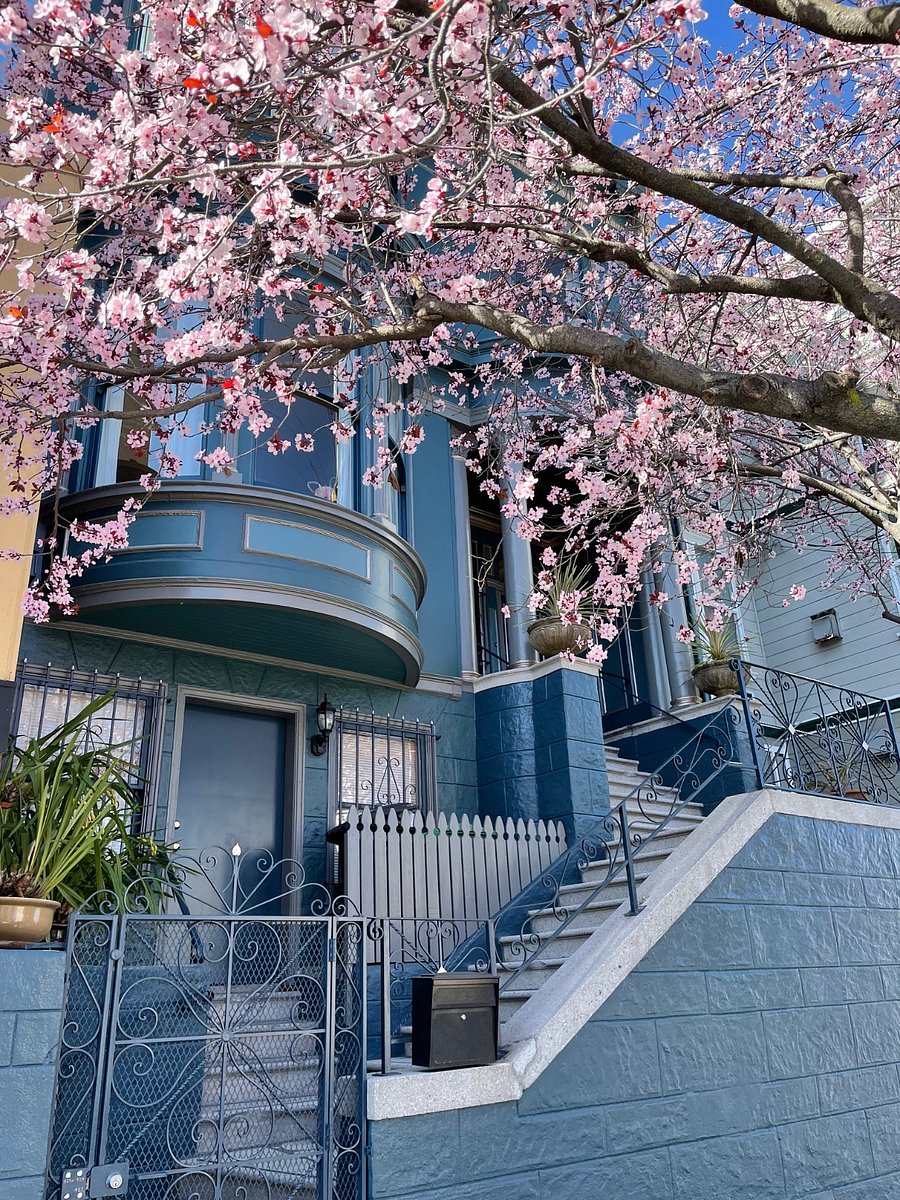 The exterior of our "Painted Lady".