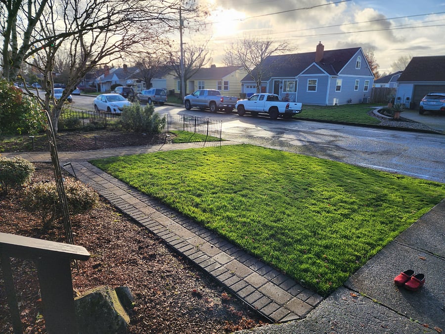 Front yard view