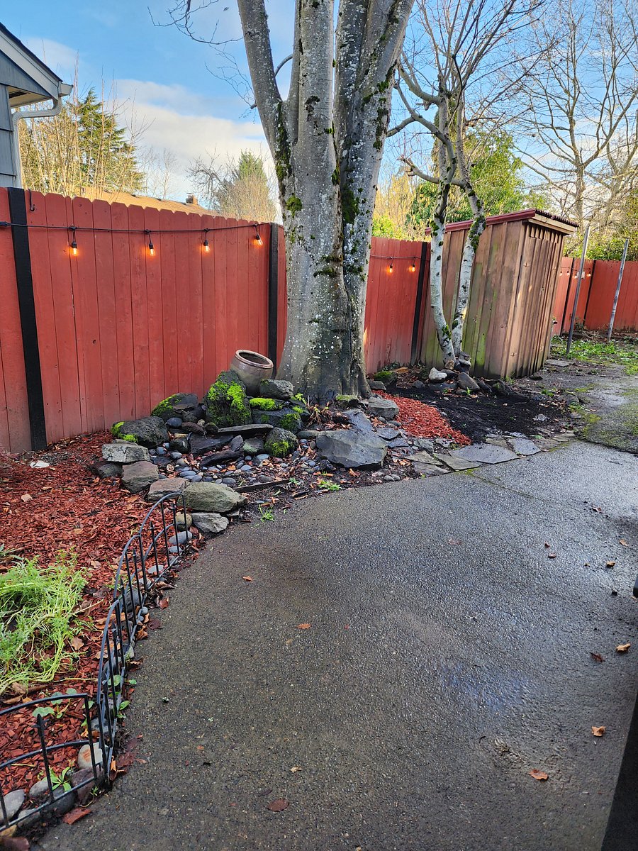 Back yard. Lots of resident birdies.