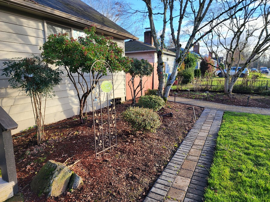 View to side of yard.
